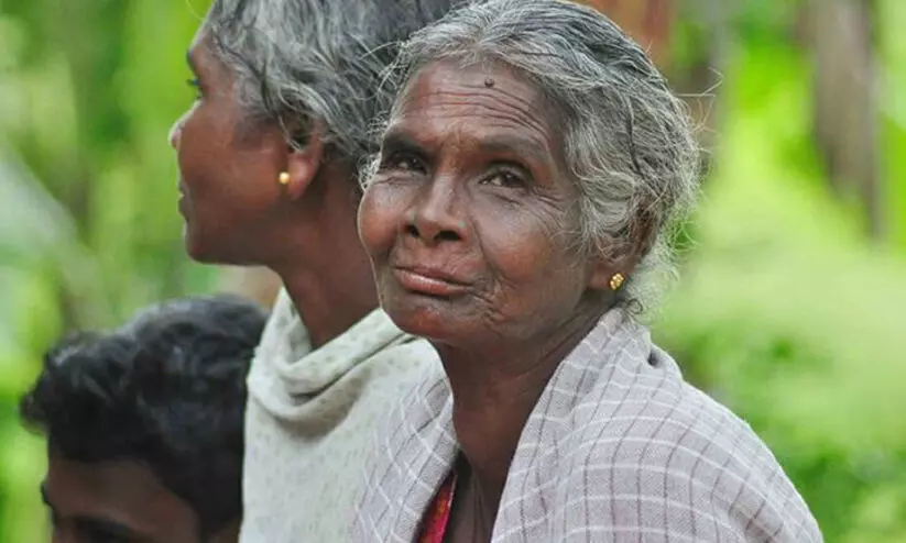 ആദിവാസികൾക്ക് കിട്ടിയത് അവകാശപ്പെട്ടതിന്റെ 1.6 ശതമാനം വനഭൂമി
