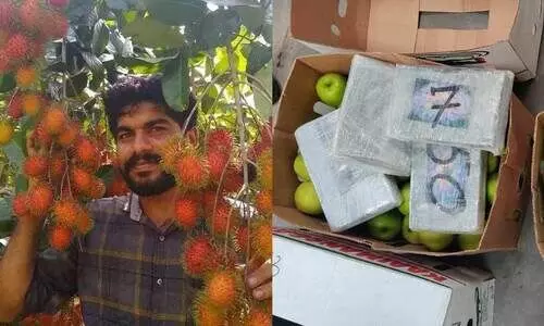 ആപ്പിൾപ്പെട്ടിയിലും വിജിൻ വർഗീസ് ലഹരികടത്തി; 502കോടിയുടെ കൊക്കൈൻ പിടികൂടി