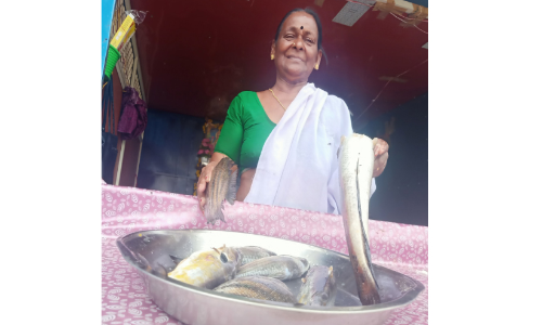 സ്റ്റാർട്ട്, ആക്ഷൻ, കട്ട്; മീൻ മാർക്കറ്റിലെ മിന്നും താരമായി സുമതി ചേച്ചി