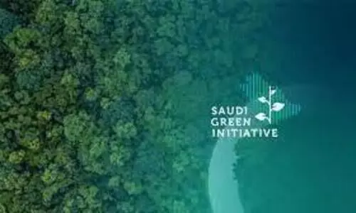 ഹരിത സൗദി: ലക്ഷ്യ പ്രയാണത്തിന് മുന്നൂറു കോടി സമാഹരിച്ചു ഹരിത സൗദി: ലക്ഷ്യ പ്രയാണത്തിന് മുന്നൂറു കോടി സമാഹരിച്ചു