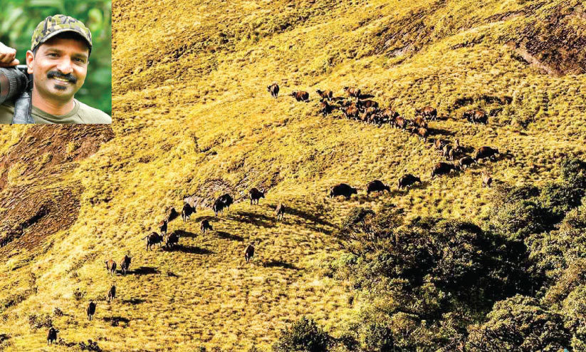 State Wildlife Photography Award