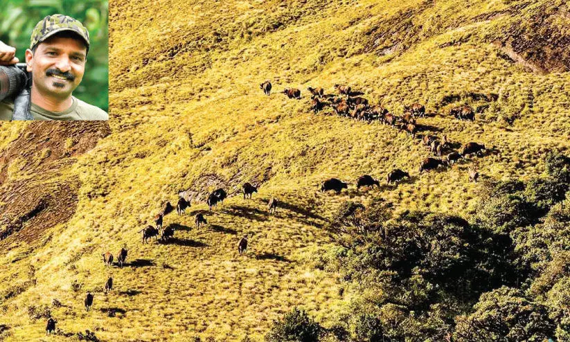 State Wildlife Photography Award