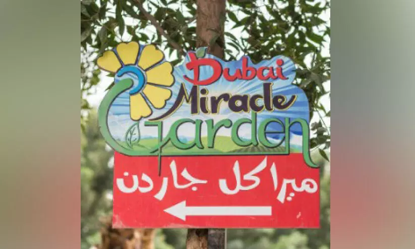 Miracle Garden will open today