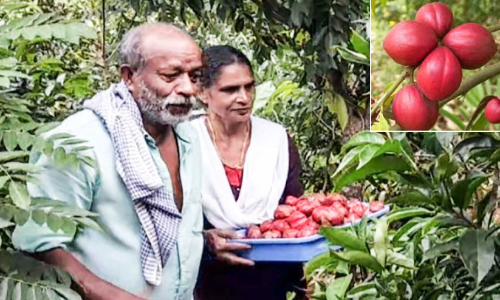 damodharan and leela