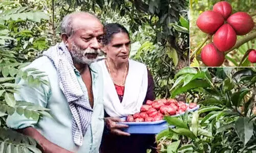 damodharan and leela