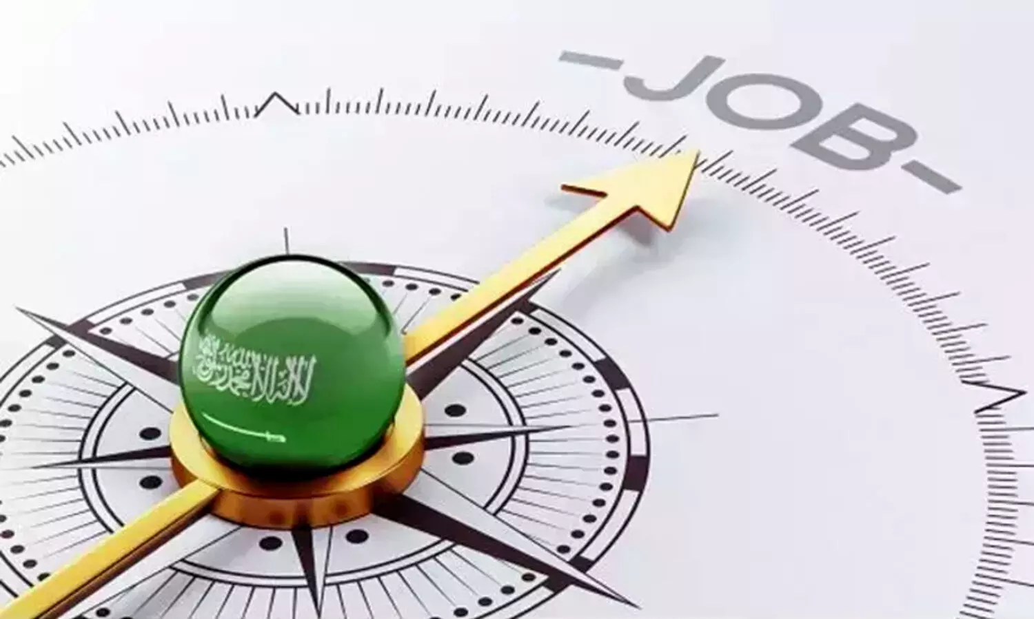 saudi Indigenization