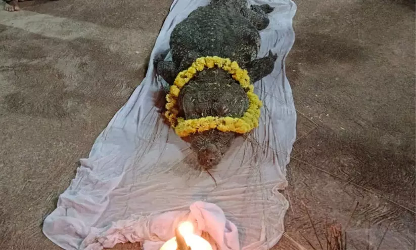 ബബിയ മുതലക്കായി സ്മാരകം പണിയുമെന്ന് ​ക്ഷേത്രഭാരവാഹികൾ; ഭക്തരുടെ യാ​ത്രാമൊഴി