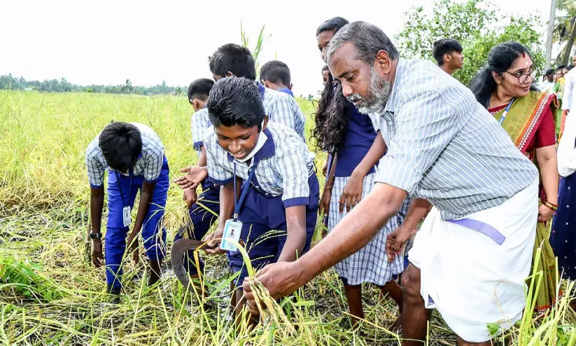 കൃഷിഭവനിൽ മൂല്യവർധിത ഉൽപന്നം ഒരുക്കും -മന്ത്രി പി. പ്രസാദ്