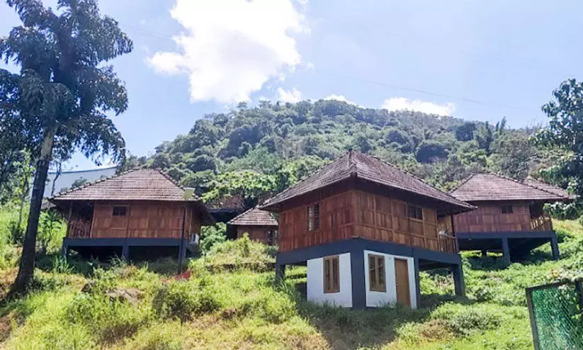 കോടികൾ ചെലവിട്ട ഇക്കോ ലോഗ് കോട്ടേജുകൾ കാടുകയറുന്നു കോടികൾ ചെലവിട്ട ഇക്കോ ലോഗ് കോട്ടേജുകൾ കാടുകയറുന്നു