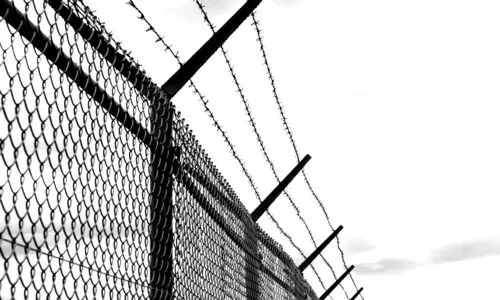 നുഴഞ്ഞുകയറ്റം: വിദേശികൾ പിടിയിൽ