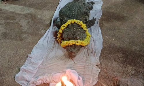 ബബിയ മുതലക്കായി സ്മാരകം പണിയുമെന്ന് ​ക്ഷേത്രഭാരവാഹികൾ; ഭക്തരുടെ യാ​ത്രാമൊഴി