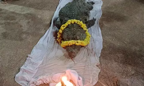 ബബിയ മുതലക്കായി സ്മാരകം പണിയുമെന്ന് ​ക്ഷേത്രഭാരവാഹികൾ; ഭക്തരുടെ യാ​ത്രാമൊഴി