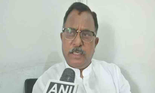 Bharat Jodo Yatra will bring back Constitution and democracy: Congress’ Mallu Ravi