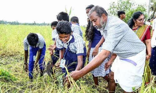 കൃഷിഭവനിൽ മൂല്യവർധിത ഉൽപന്നം ഒരുക്കും -മന്ത്രി പി. പ്രസാദ്