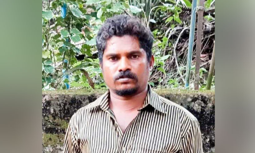 വീ​ട്ടിൽക​യ​റി മോ​ഷ​ണം; പ്ര​തി പി​ടി​യി​ൽ