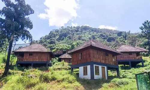 കോടികൾ ചെലവിട്ട ഇക്കോ ലോഗ്​ കോട്ടേജുകൾ കാടുകയറുന്നു