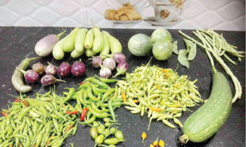 വി​ല​യി​ൽ മു​മ്പ​ൻ; കാ​ന്താ​രി മു​ള​കി​ന് പ്രി​യ​മേ​റു​ന്നു