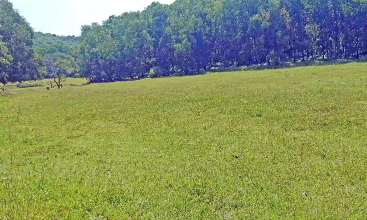 പരിസ്ഥിതി സൗഹൃദ ടൂറിസം പദ്ധതി; ആദ്യഘട്ട പ്രവൃത്തി ഉദ്ഘാടനം 17ന്