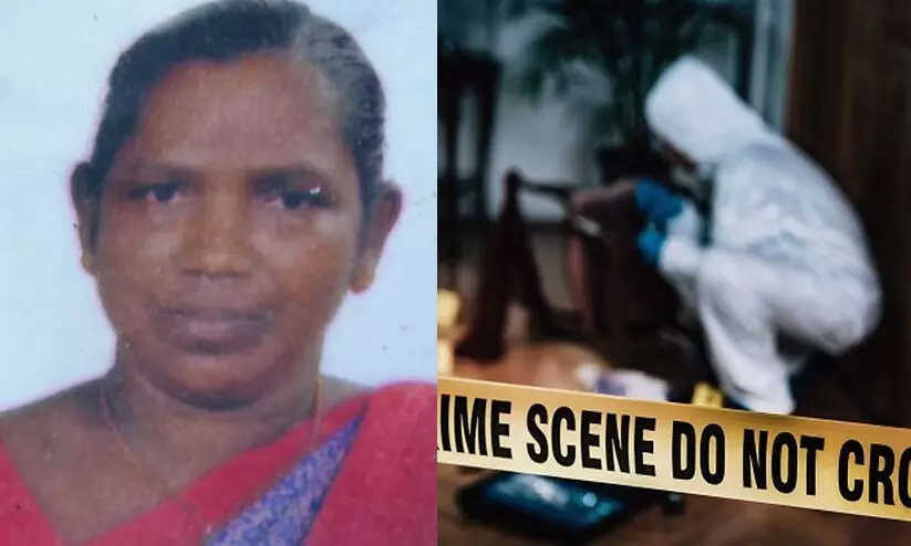 sarojini 897756 sarojini 897756