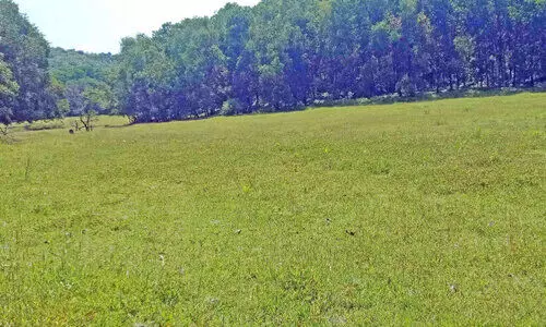 പരിസ്ഥിതി സൗഹൃദ ടൂറിസം പദ്ധതി; ആദ്യഘട്ട പ്രവൃത്തി ഉദ്ഘാടനം 17ന്