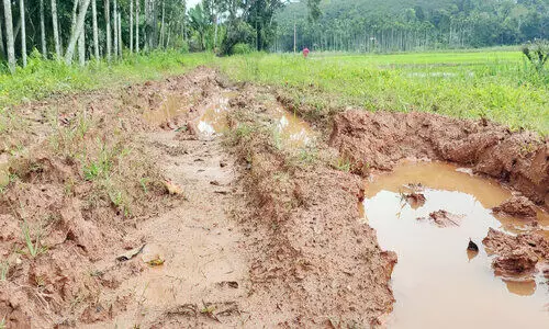 നാട്ടുകാർക്ക് പതിറ്റാണ്ടുകളായി യാത്രാദുരിതം; കാൽനടപോലും സാധ്യമാകാതെ കോട്ടത്തറ-കാക്കഞ്ചാൽ റോഡ്