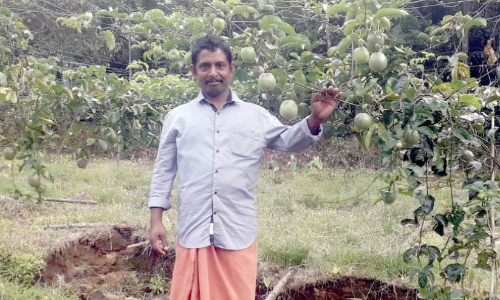 പാഷനാണ്​ മോഹൻലാലിന്​​ പാഷൻ ​ഫ്രൂട്ട്