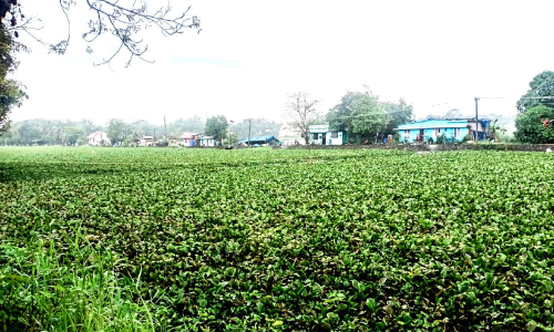 Manakachira tourism project neglected