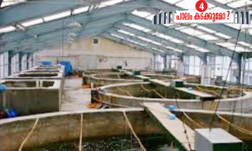 അഞ്ചു വകുപ്പുകളുടെ ഏകോപനം