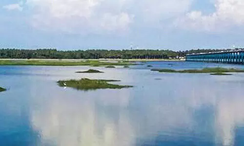 പൊന്നാനി കോൾ മേഖലയിലെ ജലക്ഷാമം പരിഹരിക്കും