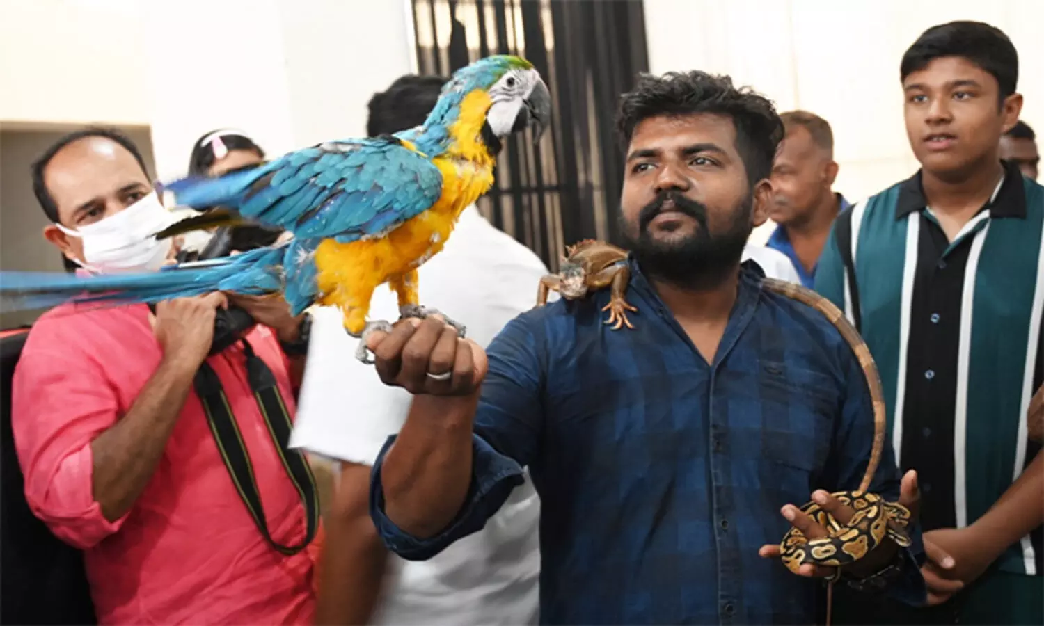 അപൂർവയിനം പക്ഷികളും ഓമന മൃഗങ്ങളും വർണമത്സ്യങ്ങളുമായി പ്രദർശനോത്സവം