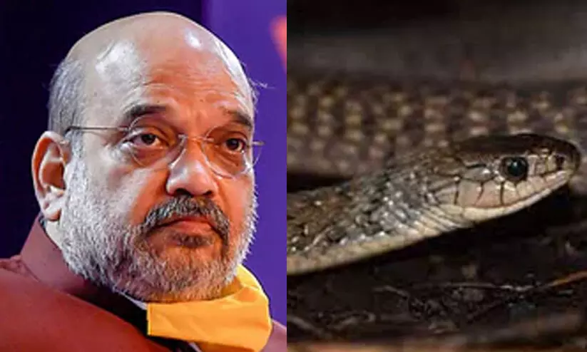 അമിത് ഷായുടെ വീട്ടില് അഞ്ചടി നീളമുള്ള പാമ്പ് കയറി; പാമ്പ് പിടിത്തക്കാർ എത്തി പുറത്തെടുത്തു അമിത് ഷായുടെ വീട്ടില് അഞ്ചടി നീളമുള്ള പാമ്പ് കയറി; പാമ്പ് പിടിത്തക്കാർ എത്തി പുറത്തെടുത്തു