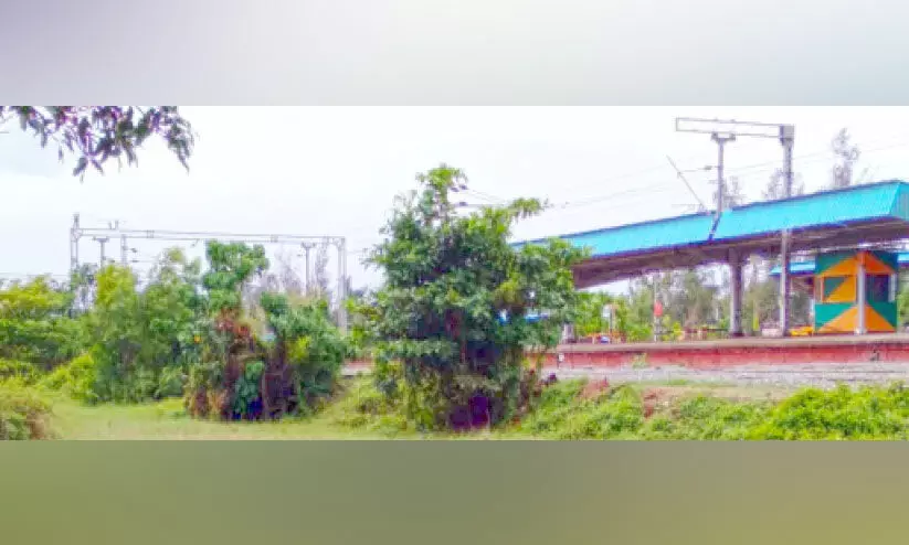 പാർസൽ സർവിസും നിലച്ചു; അവഗണനയുടെ പാളത്തിൽ പയ്യന്നൂർ റെയിൽവേ സ്റ്റേഷൻ പാർസൽ സർവിസും നിലച്ചു; അവഗണനയുടെ പാളത്തിൽ പയ്യന്നൂർ റെയിൽവേ സ്റ്റേഷൻ