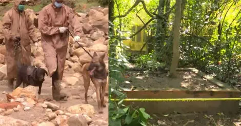 മായയും മര്ഫിയും : കേരളാ പോലീസിന്റെ അഭിമാനമായ പോലീസ് നായ്ക്കള് മായയും മര്ഫിയും : കേരളാ പോലീസിന്റെ അഭിമാനമായ പോലീസ് നായ്ക്കള്