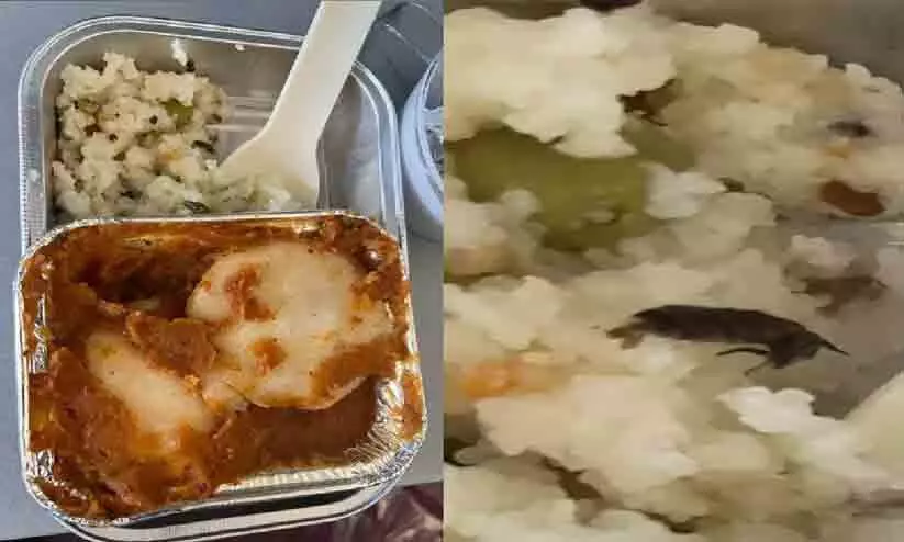 വിമാനത്തിലെ ഭക്ഷണത്തിൽ ചത്ത പാറ്റ; പരാതിയുമായി യാത്രക്കാരൻ വിമാനത്തിലെ ഭക്ഷണത്തിൽ ചത്ത പാറ്റ; പരാതിയുമായി യാത്രക്കാരൻ