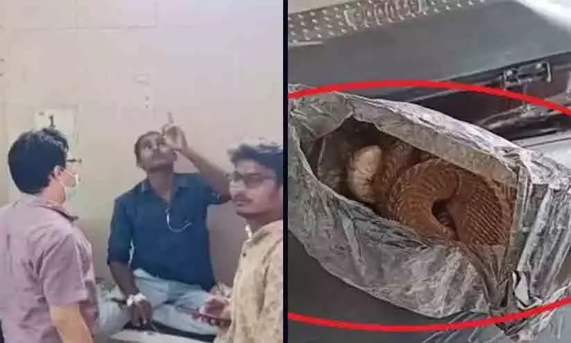 എന്നെ കടിച്ചതും രാജവെമ്പാല ചത്തു; മദ്യപാനി പാമ്പിനെയുമെടുത്ത് ആശുപത്രിയിൽ