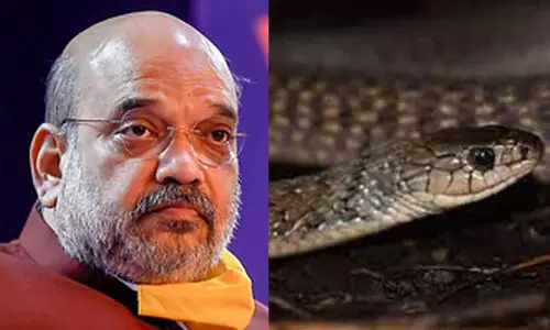 അമിത് ഷായുടെ വീട്ടില്‍ അഞ്ചടി നീളമുള്ള പാമ്പ് കയറി; പാമ്പ് പിടിത്തക്കാർ എത്തി പുറത്തെടുത്തു