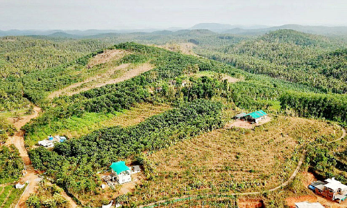 കിനാലൂരിൽ എയിംസ്; സ്വകാര്യ ഭൂമി ഏറ്റെടുക്കുന്നതിനുള്ള സാമൂഹികാഘാത പഠന റിപ്പോർട്ട് പ്രസിദ്ധീകരിച്ചു