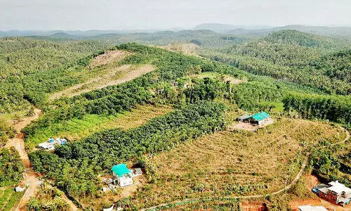 കിനാലൂരിൽ എയിംസ്; സ്വകാര്യ ഭൂമി ഏറ്റെടുക്കുന്നതിനുള്ള സാമൂഹികാഘാത പഠന റിപ്പോർട്ട് പ്രസിദ്ധീകരിച്ചു