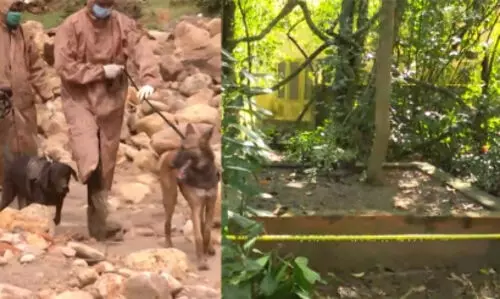 മായയും മര്‍ഫിയും : കേരളാ പോലീസിന്‍റെ അഭിമാനമായ പോലീസ് നായ്ക്കള്‍