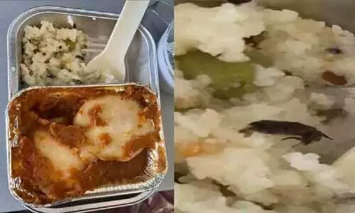 വിമാനത്തിലെ ഭക്ഷണത്തിൽ ചത്ത പാറ്റ; പരാതിയുമായി യാത്രക്കാരൻ