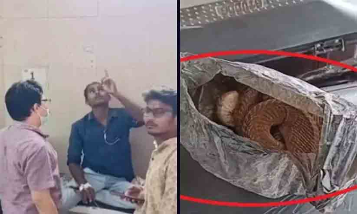 എന്നെ കടിച്ചതും രാജവെമ്പാല ചത്തു; മദ്യപാനി പാമ്പിനെയുമെടുത്ത് ആശുപത്രിയിൽ