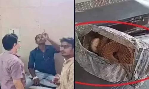 എന്നെ കടിച്ചതും രാജവെമ്പാല ചത്തു; മദ്യപാനി പാമ്പിനെയുമെടുത്ത് ആശുപത്രിയിൽ