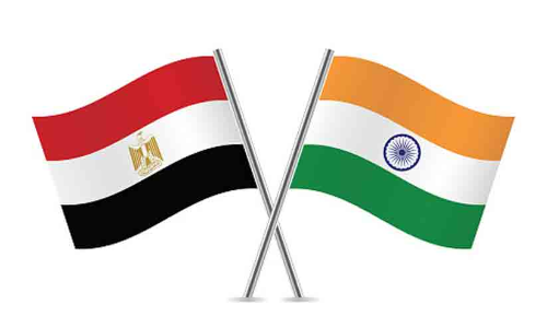 ഇന്ത്യ -ഈജിപ്ത് വിദേശകാര്യമന്ത്രിമാർ കൂടിക്കാഴ്ച നടത്തി