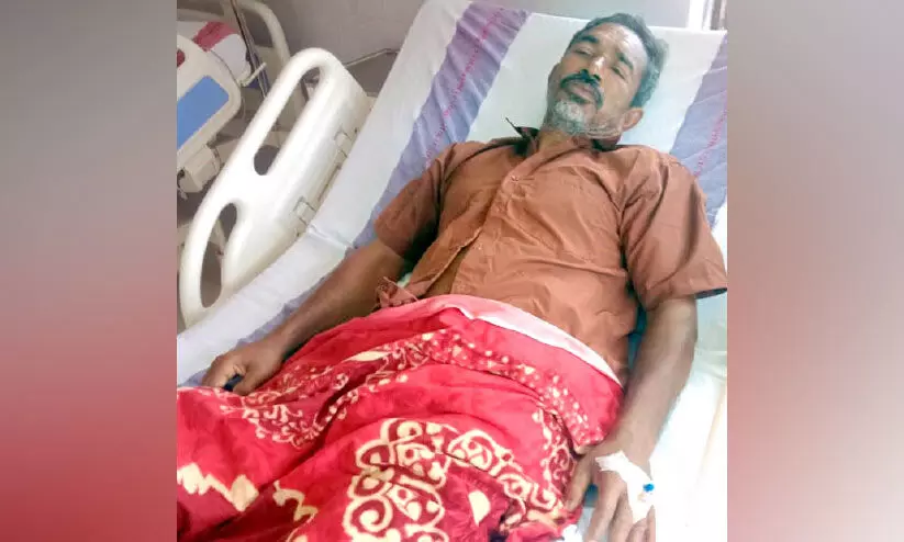 തേനീച്ചപ്പേടിയിൽ മാനാംകുന്ന്