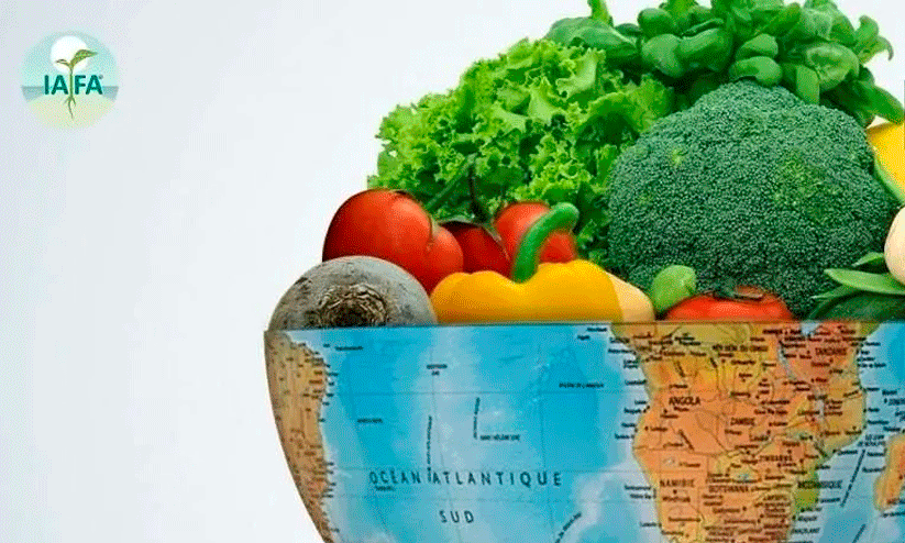 പട്ടിണിക്കാർ പെരുകുന്നു; ലോക ഭക്ഷ്യ ദിനത്തിൽ ആശങ്ക അറിയിച്ച് യു.എൻ സെക്രട്ടറി ജനറൽ