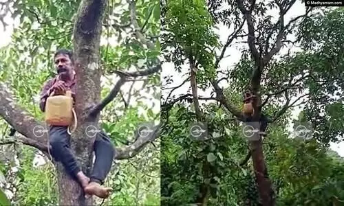 കുരങ്ങ് വീട്ടിൽ കയറി നാശമുണ്ടാക്കി; ജീവനൊടുക്കുമെന്ന ഭീഷണിയുമായി കർഷകൻ മരത്തിന് മുകളിൽ -VIDEO