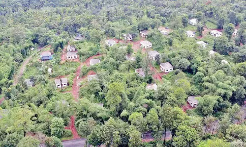 സി.സി, ആവയല്‍ സ്വപ്ന വീടുകളില്‍ പുനരധിവാസം