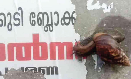 ഒടുവിൽ കണ്ടെത്തി; പോസ്റ്ററുകൾ കീറുന്ന വില്ലനെ