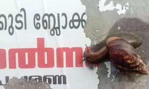 ഒടുവിൽ കണ്ടെത്തി; പോസ്റ്ററുകൾ കീറുന്ന വില്ലനെ