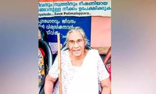 Gracie Baby Gracie Baby